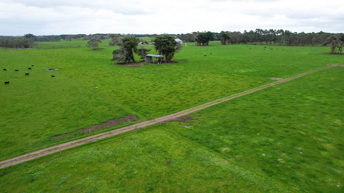 Lot 3 Hughs Road, Wangoom For Sale by Farmbuy.com - image 8