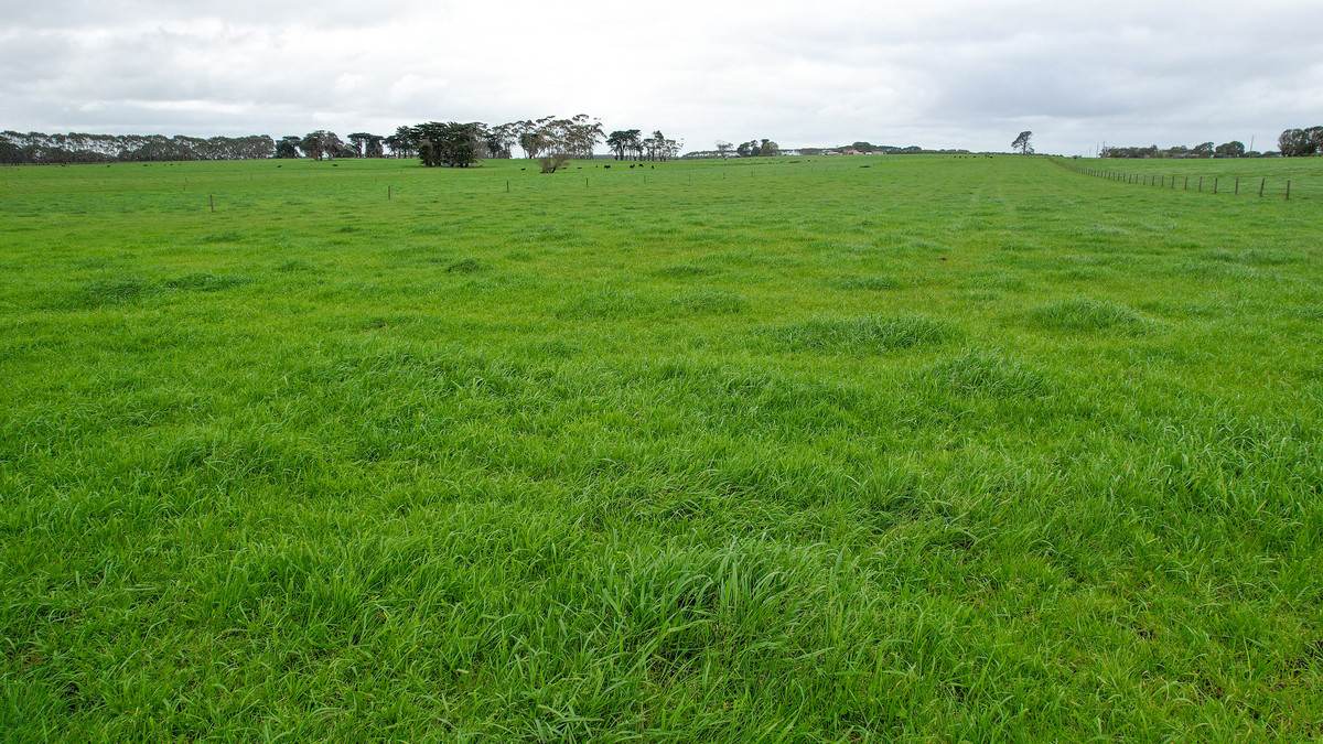 Lot 3 Hughs Road, Wangoom For Sale by Farmbuy.com - image 4