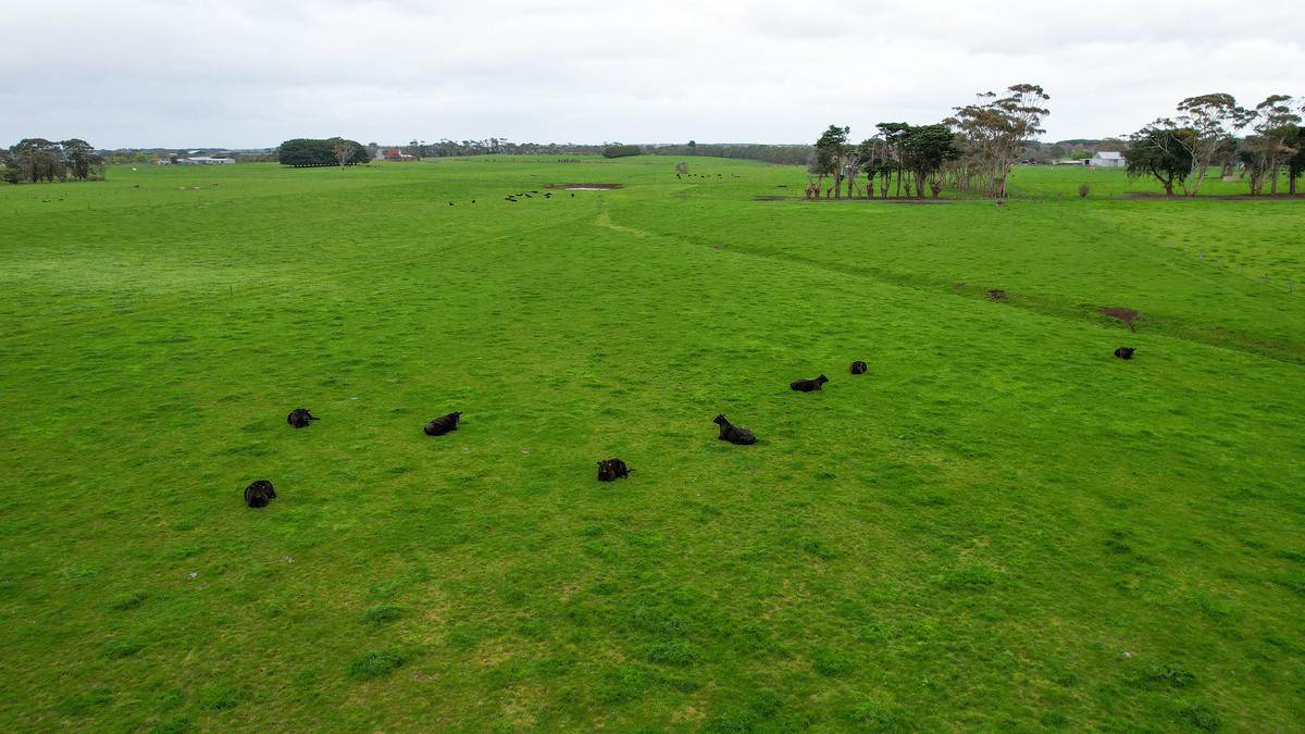Lot 3 Hughs Road, Wangoom For Sale by Farmbuy.com - image 6
