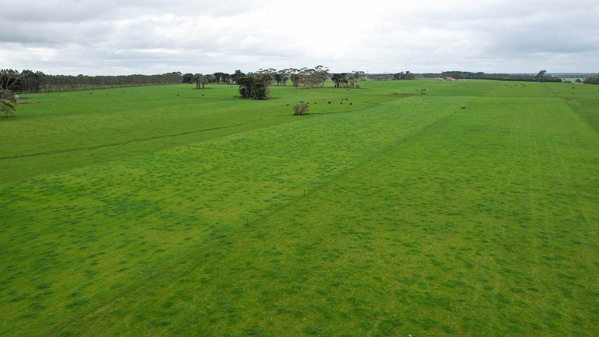 Lot 3 Hughs Road, Wangoom For Sale by Farmbuy.com - image 2