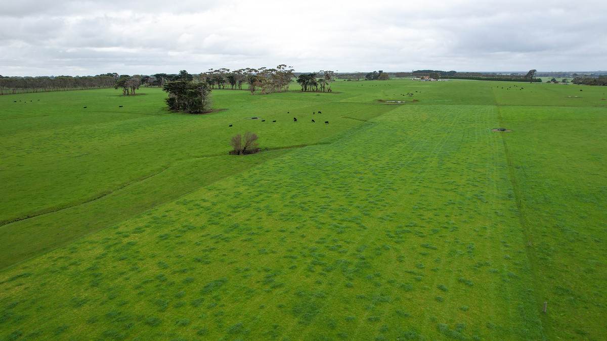 Lot 3 Hughs Road, Wangoom For Sale by Farmbuy.com - image 5