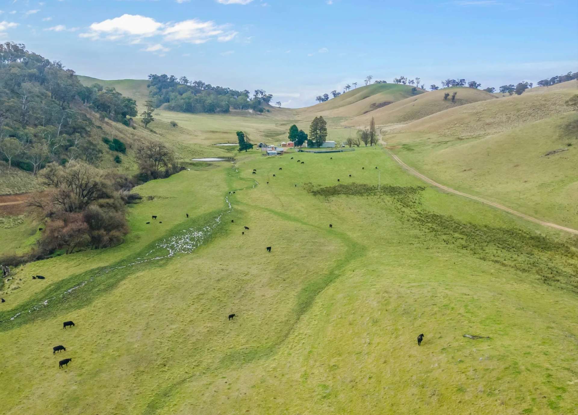 226 Quarry Road, Ben Bullen For Sale by Farmbuy.com - image 12