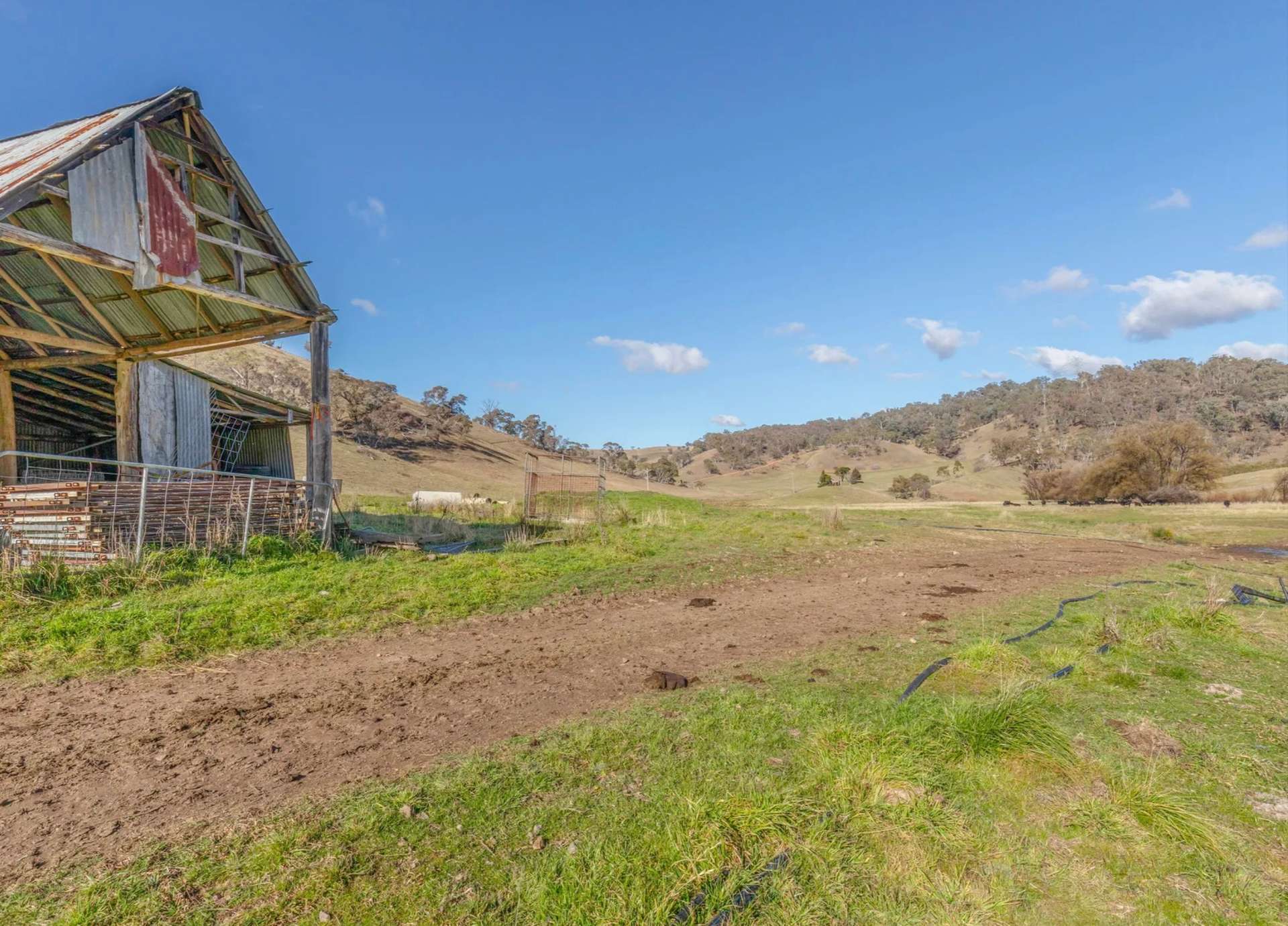 226 Quarry Road, Ben Bullen For Sale by Farmbuy.com - image 15