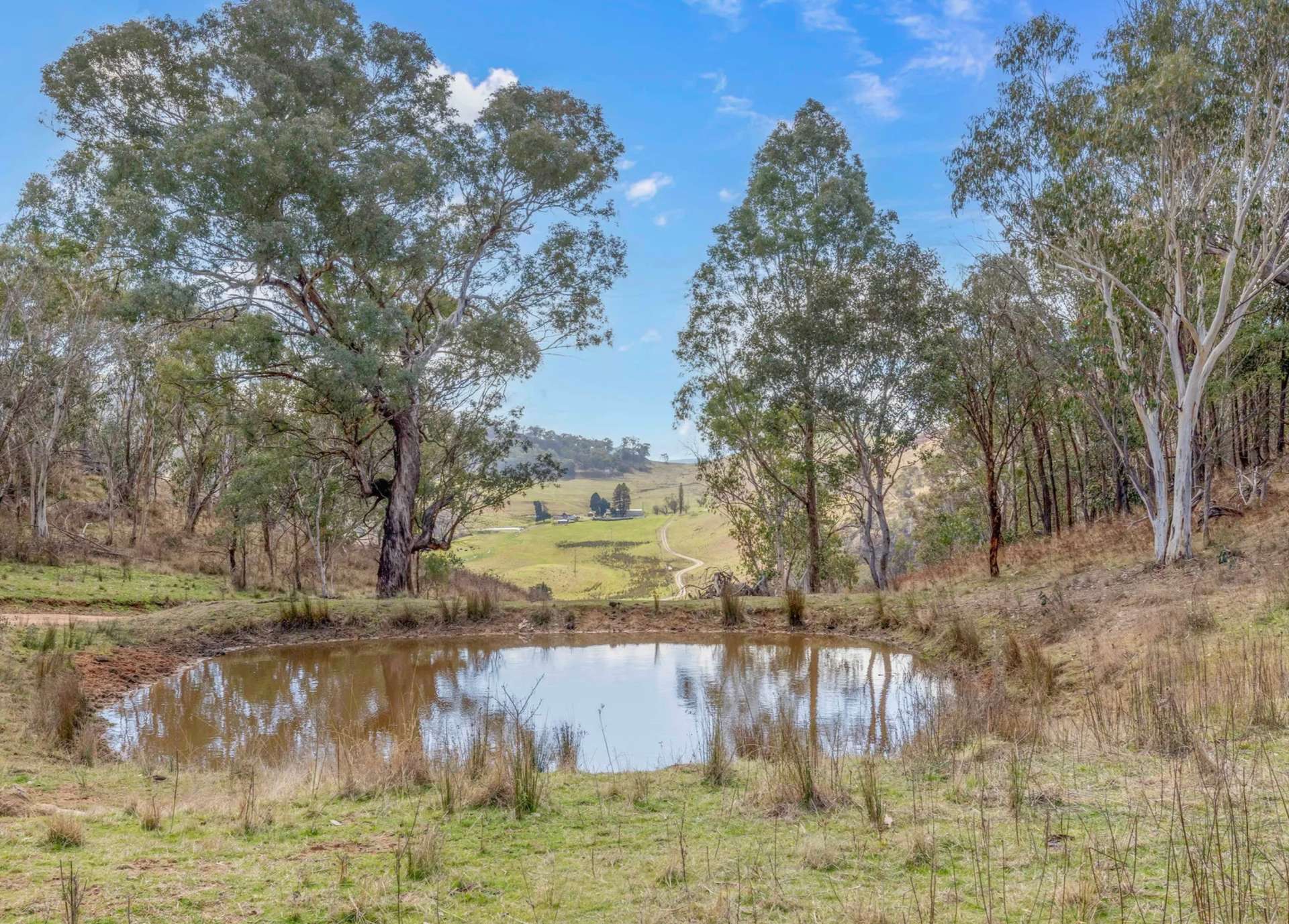 226 Quarry Road, Ben Bullen For Sale by Farmbuy.com - image 22