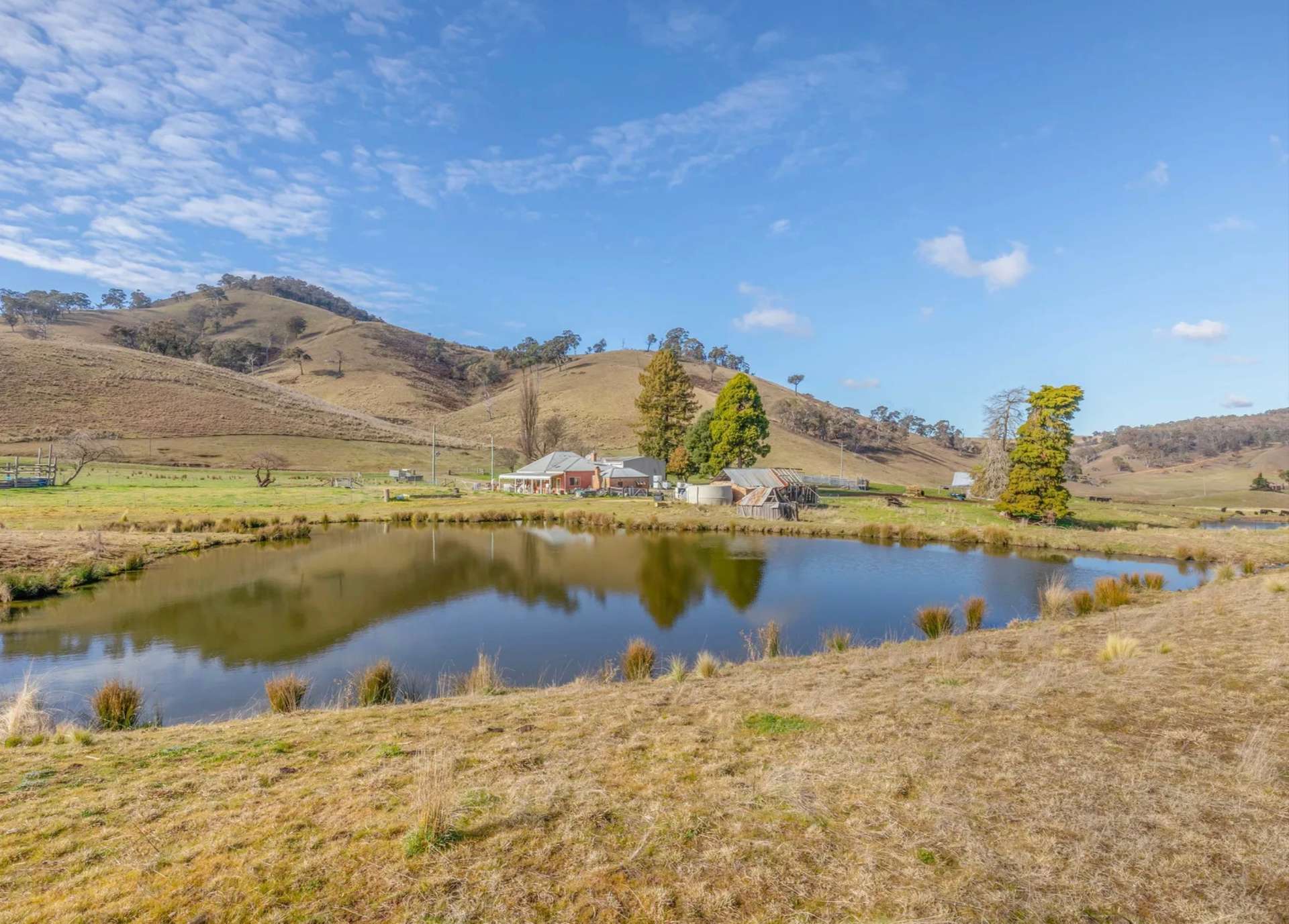 226 Quarry Road, Ben Bullen For Sale by Farmbuy.com - image 13