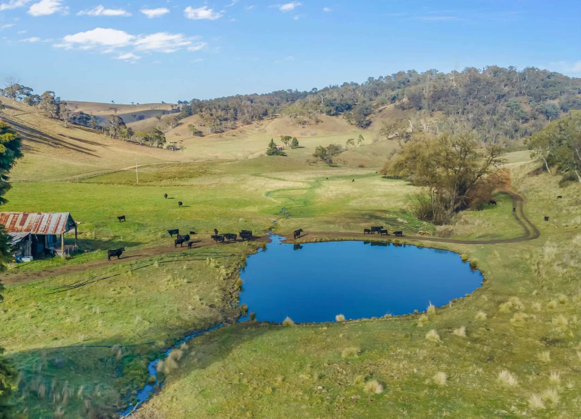 226 Quarry Road, Ben Bullen For Sale by Farmbuy.com - image 18