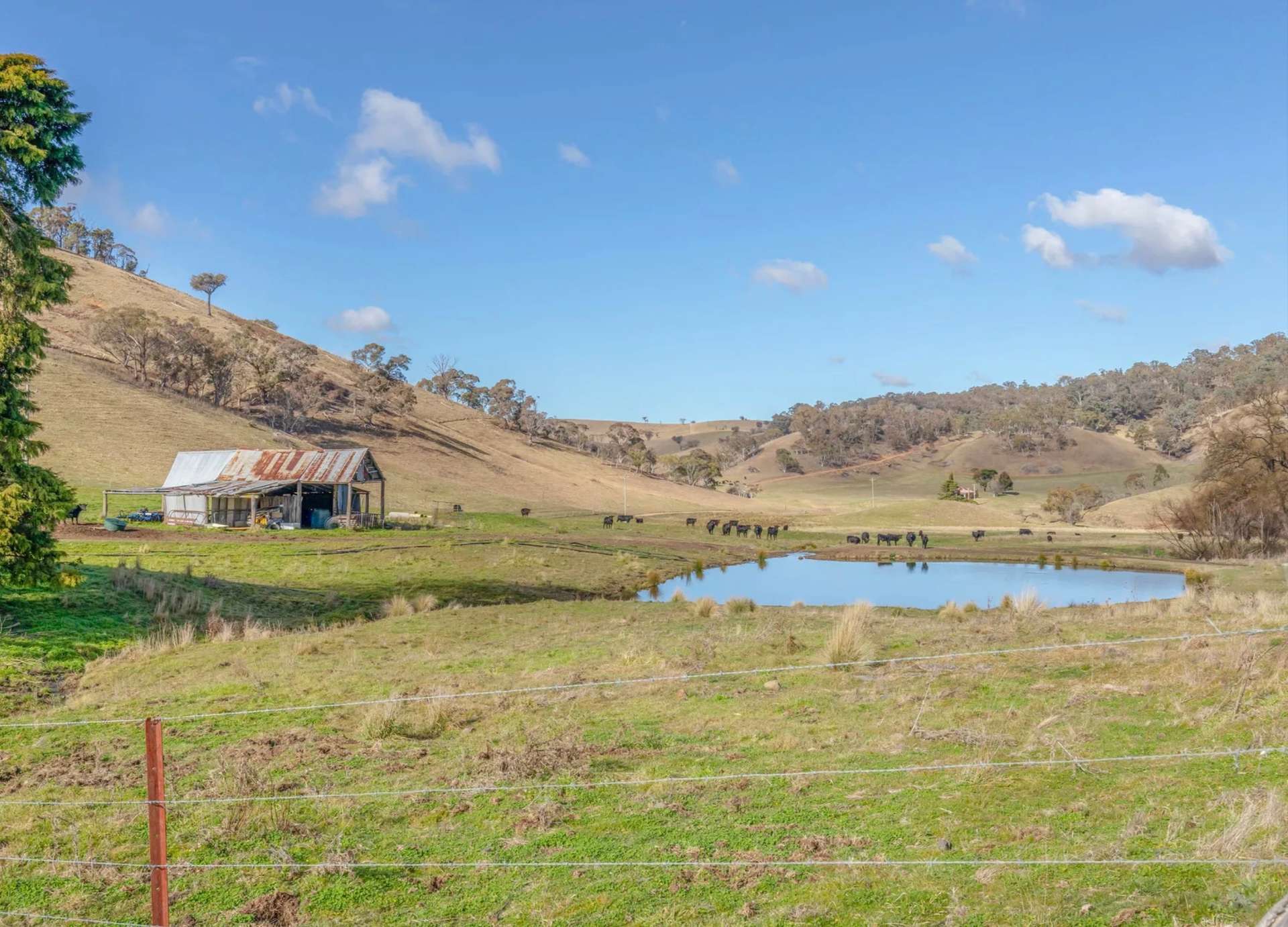 226 Quarry Road, Ben Bullen For Sale by Farmbuy.com - image 14