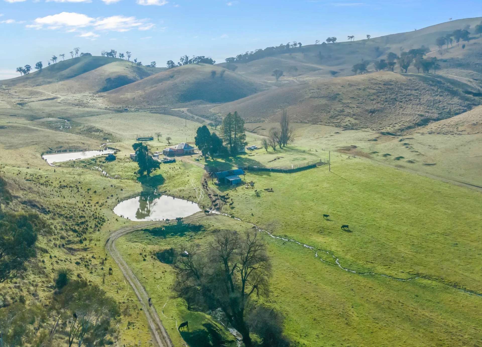 226 Quarry Road, Ben Bullen For Sale by Farmbuy.com - image 20