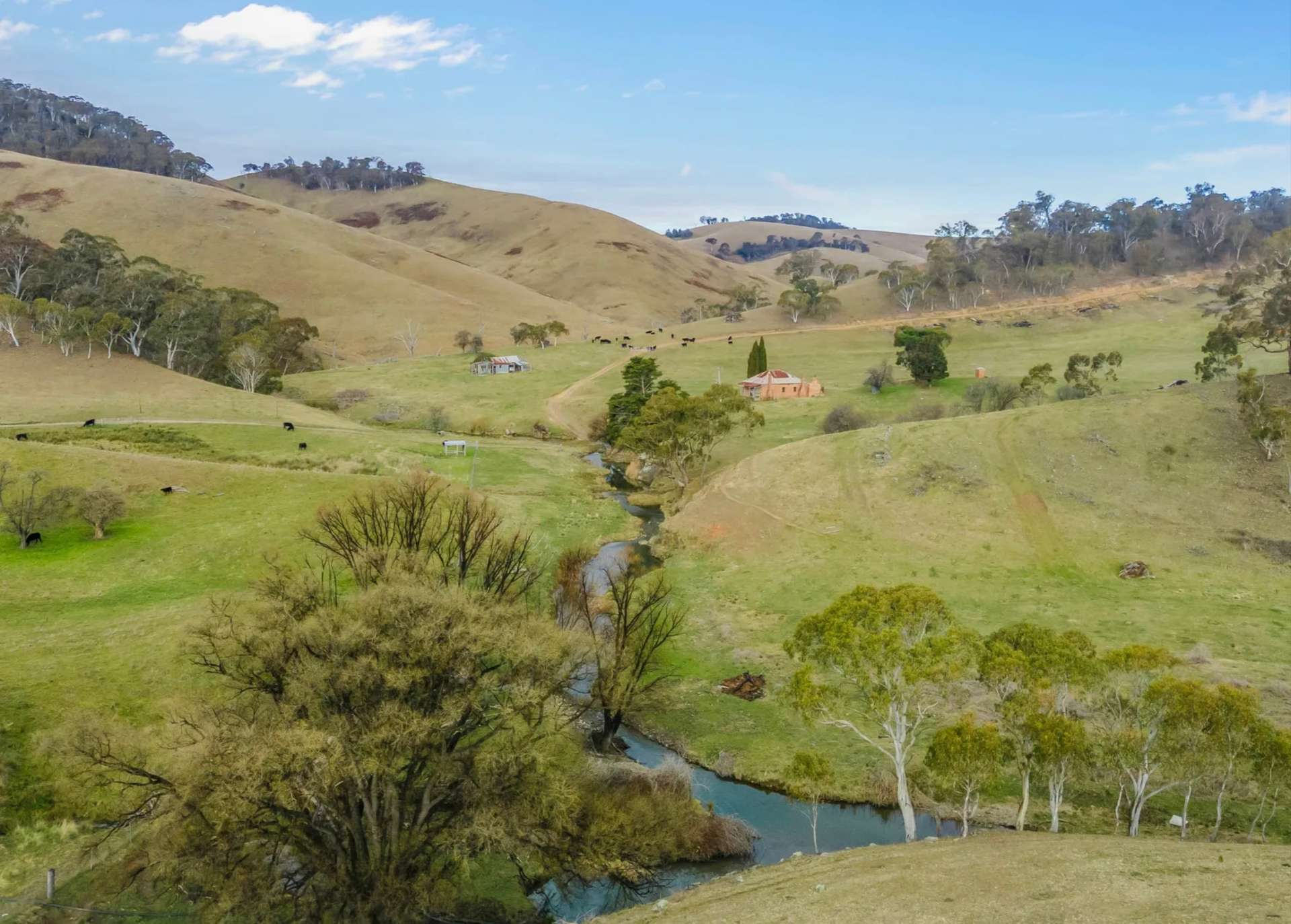226 Quarry Road, Ben Bullen For Sale by Farmbuy.com - image 23