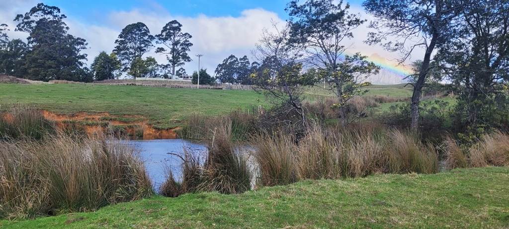 148 Holmes Road, Roland Sold by Farmbuy.com - image 10