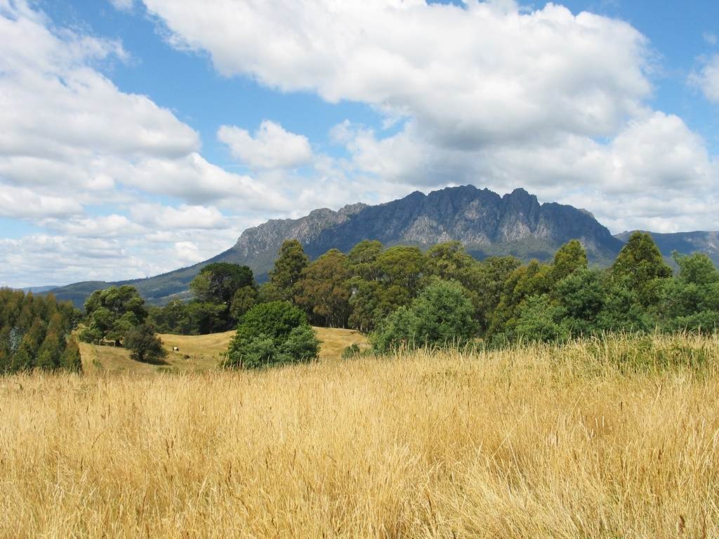 148 Holmes Road, Roland Sold by Farmbuy.com - image 2