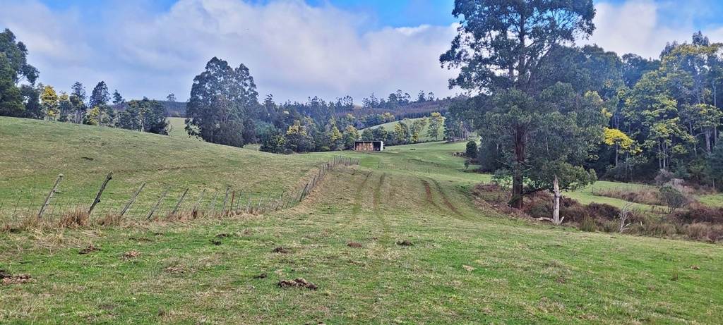 148 Holmes Road, Roland Sold by Farmbuy.com - image 11