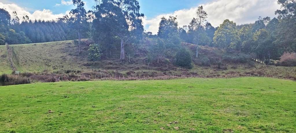 148 Holmes Road, Roland Sold by Farmbuy.com - image 7