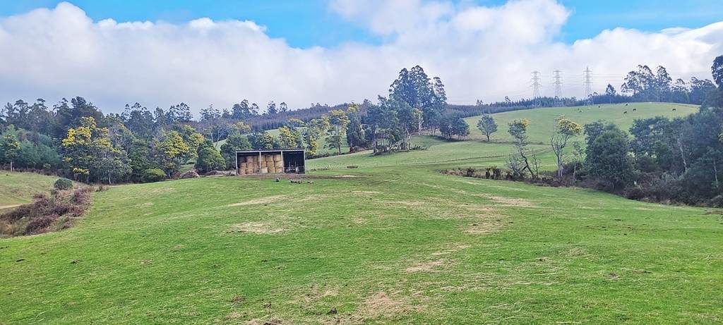 148 Holmes Road, Roland Sold by Farmbuy.com - image 12
