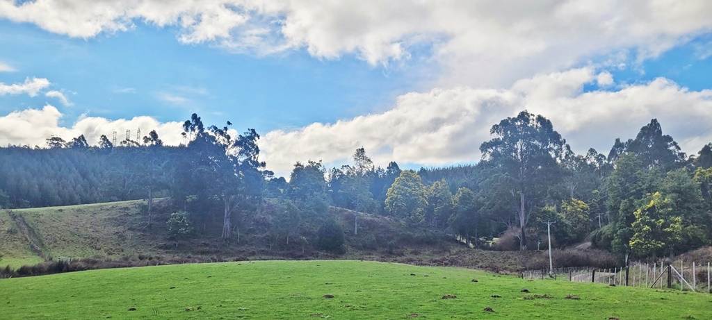 148 Holmes Road, Roland Sold by Farmbuy.com - image 6