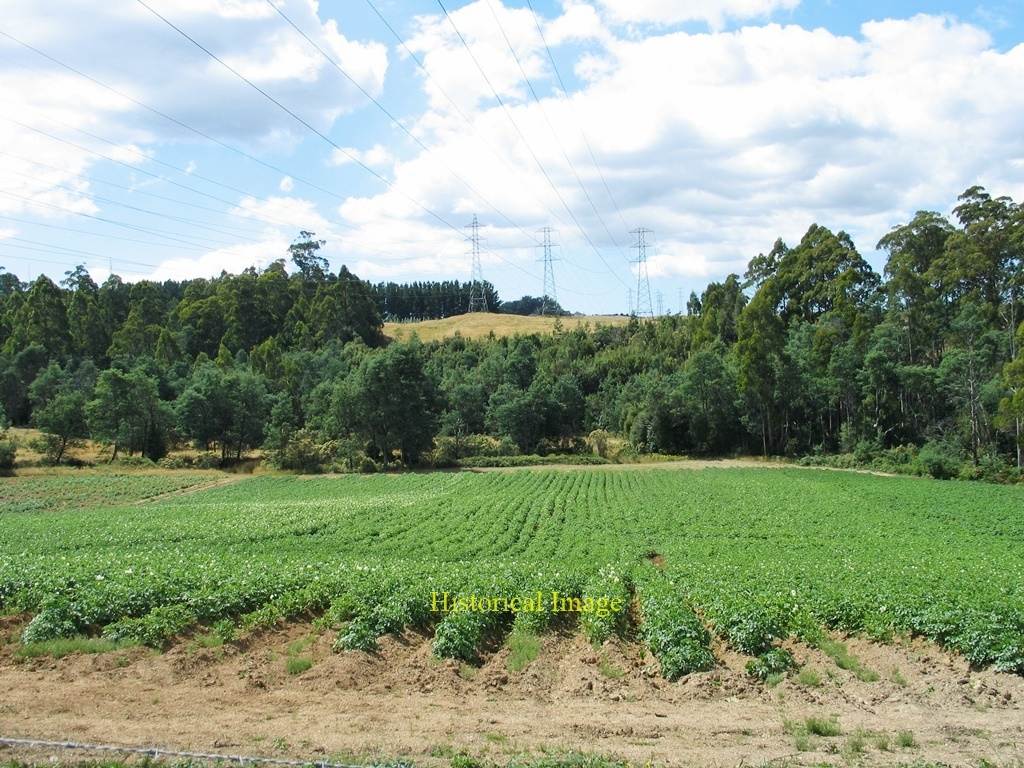 148 Holmes Road, Roland Sold by Farmbuy.com - image 33