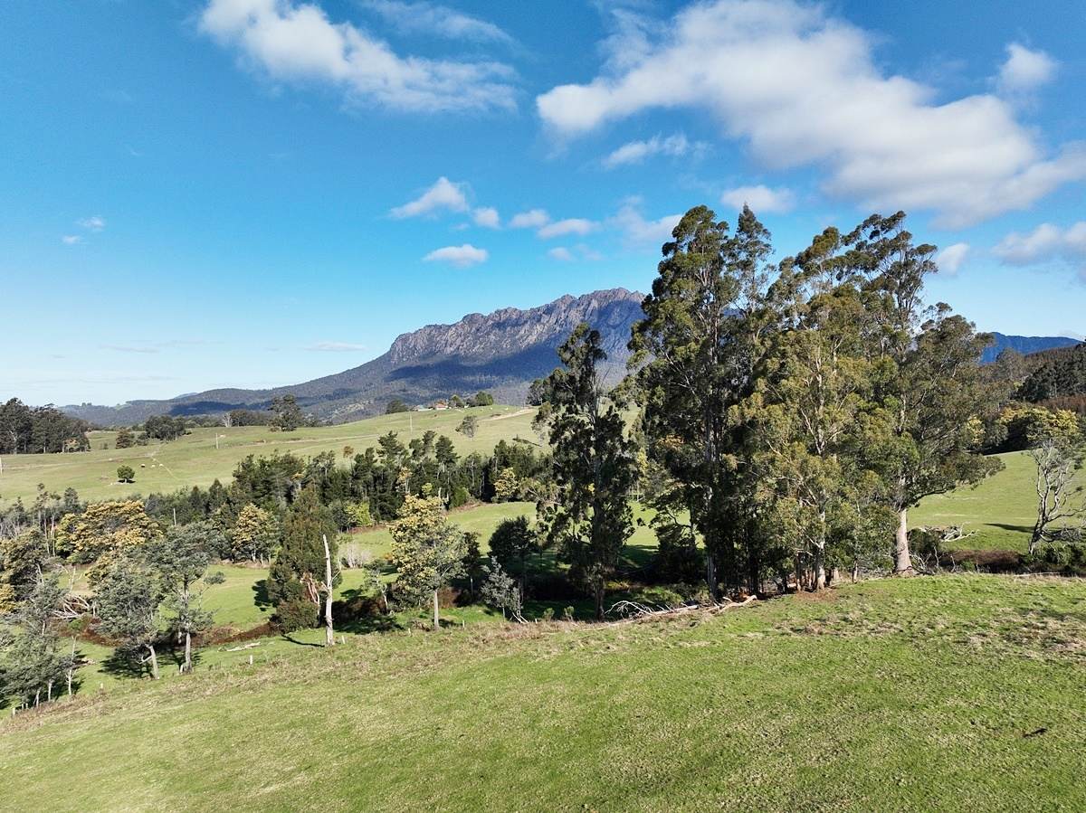 148 Holmes Road, Roland Sold by Farmbuy.com - image 13