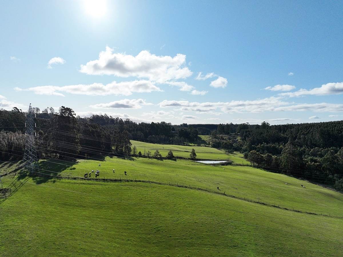 148 Holmes Road, Roland Sold by Farmbuy.com - image 17