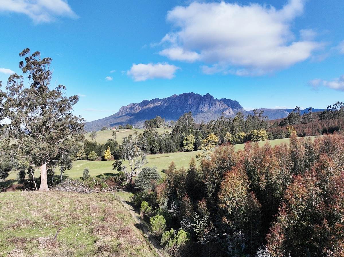 148 Holmes Road, Roland Sold by Farmbuy.com - image 14