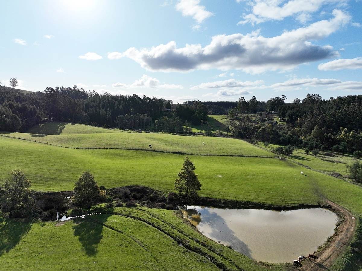 148 Holmes Road, Roland Sold by Farmbuy.com - image 27