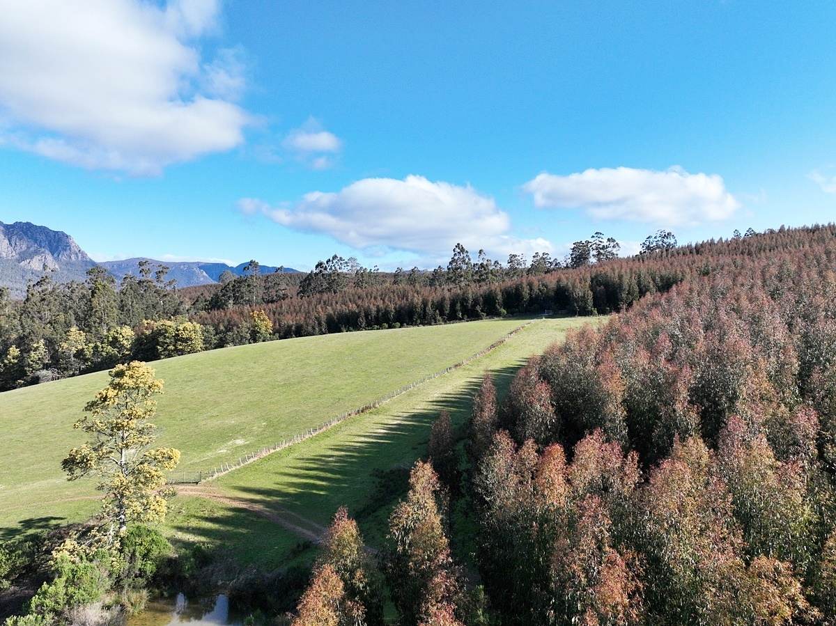 148 Holmes Road, Roland Sold by Farmbuy.com - image 4