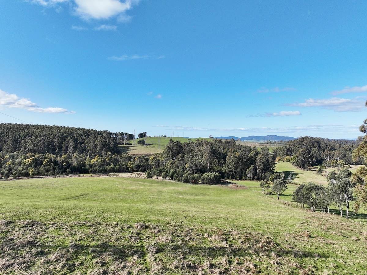 148 Holmes Road, Roland Sold by Farmbuy.com - image 15