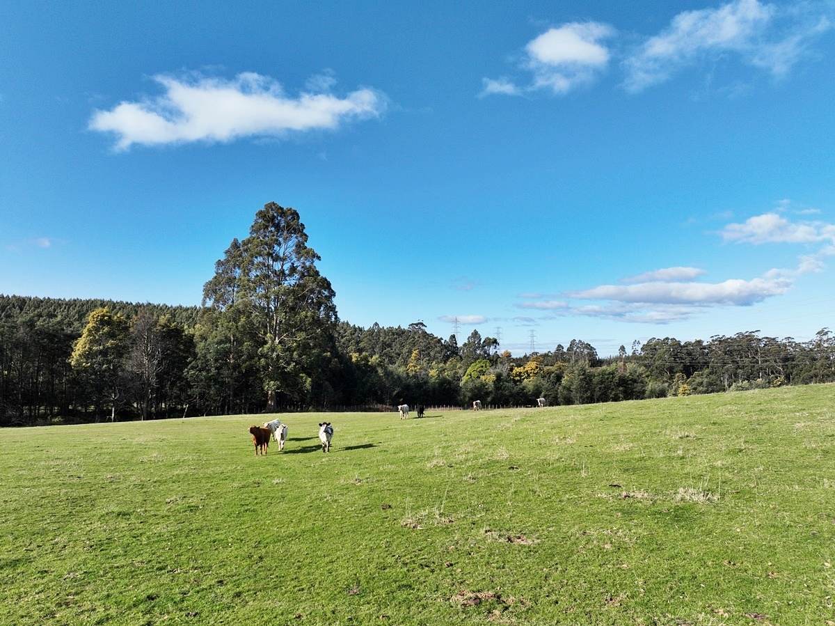 148 Holmes Road, Roland Sold by Farmbuy.com - image 25