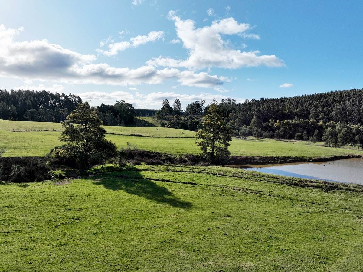 148 Holmes Road, Roland Sold by Farmbuy.com - image 22