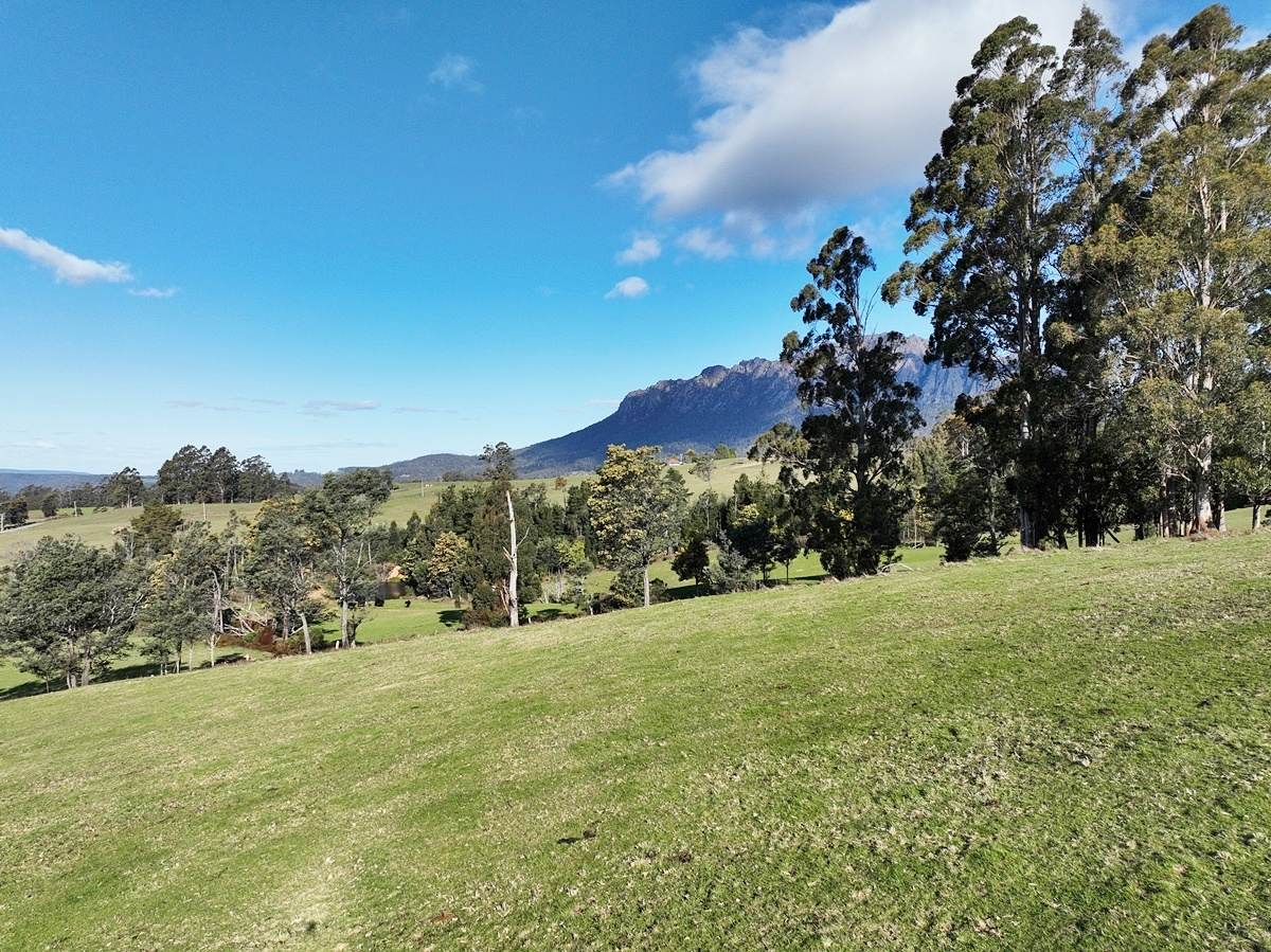 148 Holmes Road, Roland Sold by Farmbuy.com - image 19