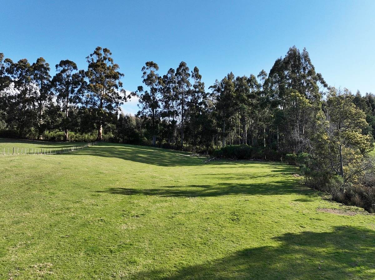 148 Holmes Road, Roland Sold by Farmbuy.com - image 24