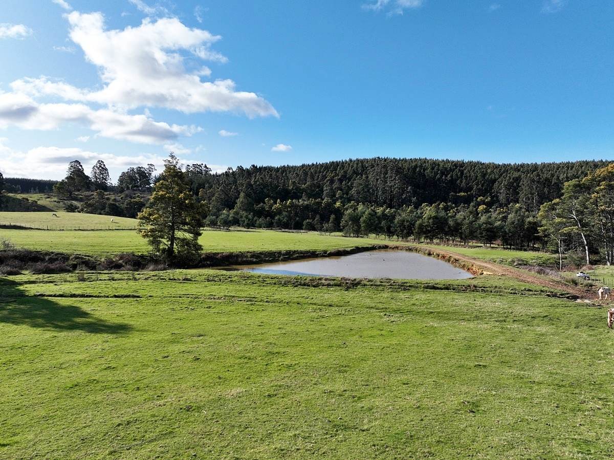 148 Holmes Road, Roland Sold by Farmbuy.com - image 21