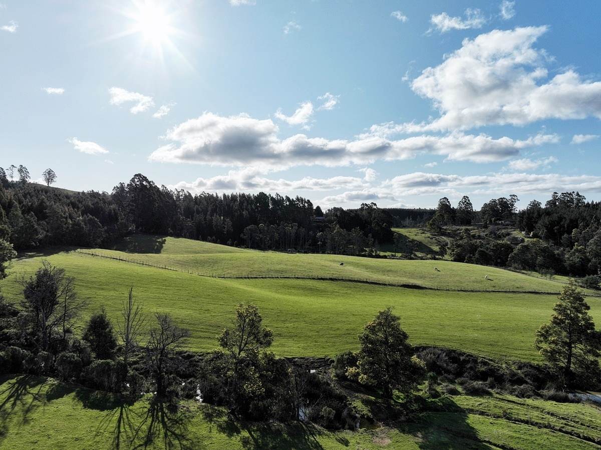 148 Holmes Road, Roland Sold by Farmbuy.com - image 20