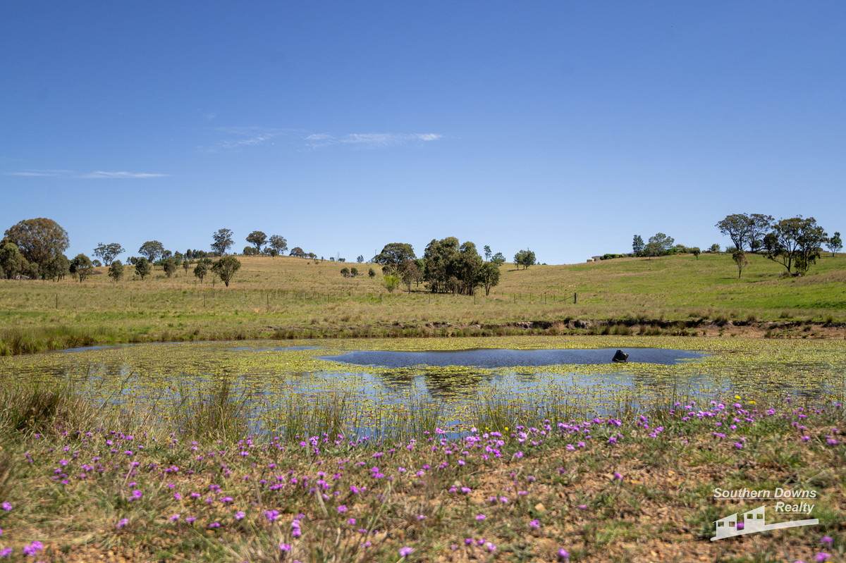4 Browns Road, Dalveen For Sale by Farmbuy.com - image 30