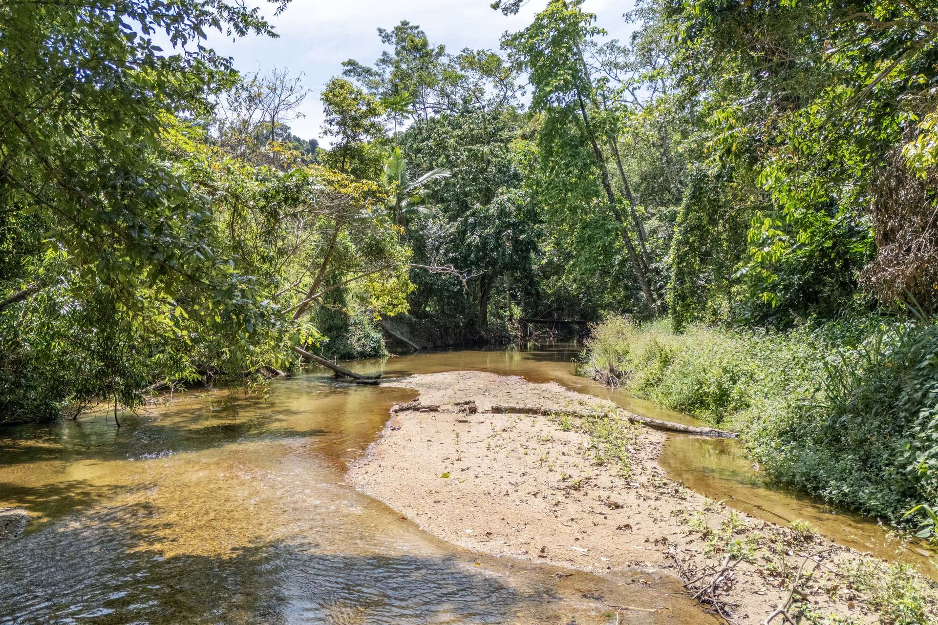 516 Whyanbeel Road, Whyanbeel, Mossman For Sale by Farmbuy.com - image 4