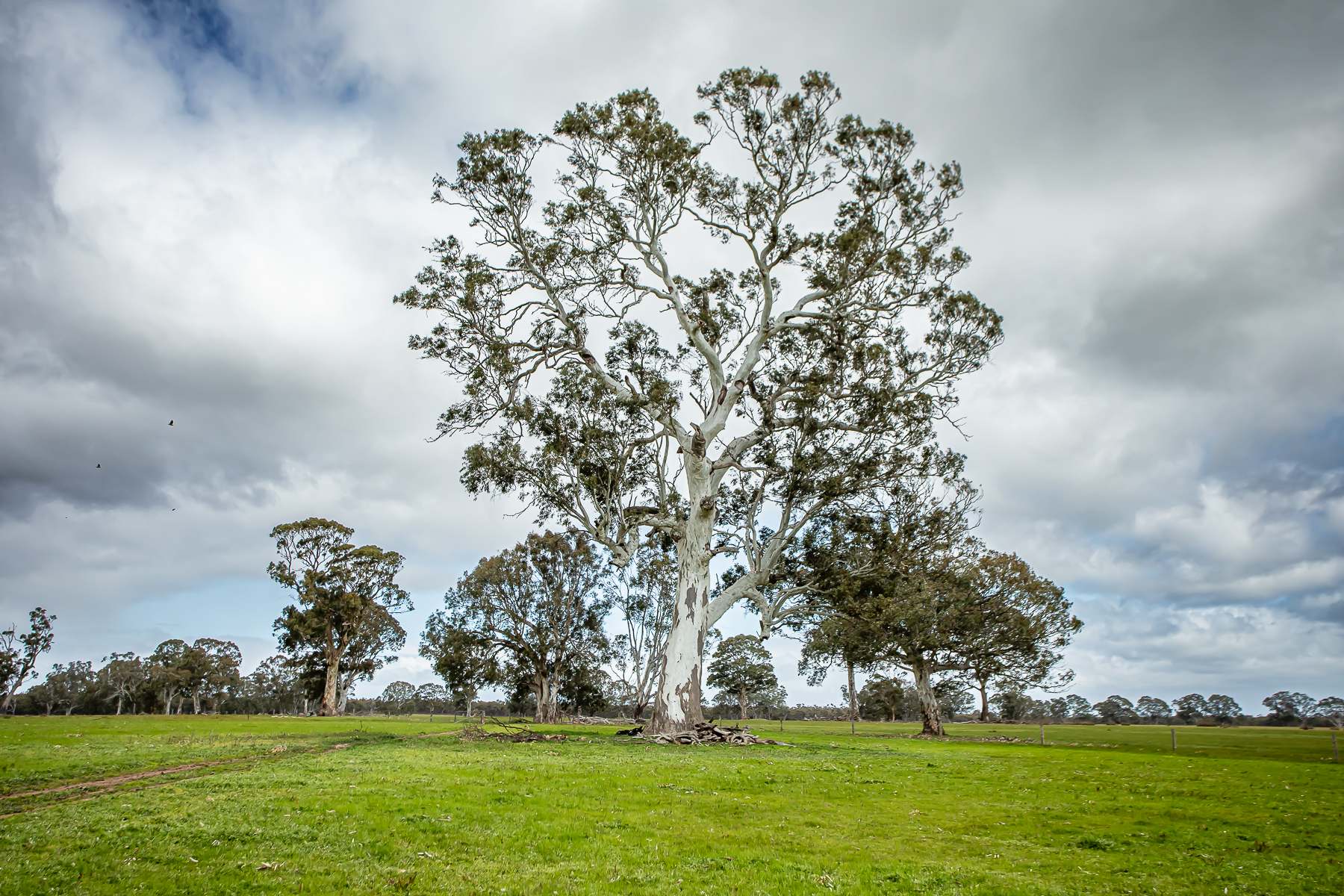 58 Camerons And Lampards Road, Charam For Sale by Farmbuy.com - image 3
