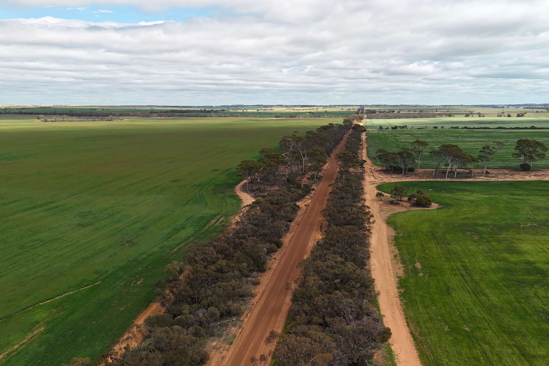 3279 Calzoni Road, Hyden For Sale by Farmbuy.com - image 14