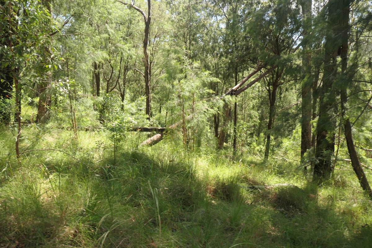 Lot 29,  Rocky River Road, Rocky River Sold by Farmbuy.com - image 14