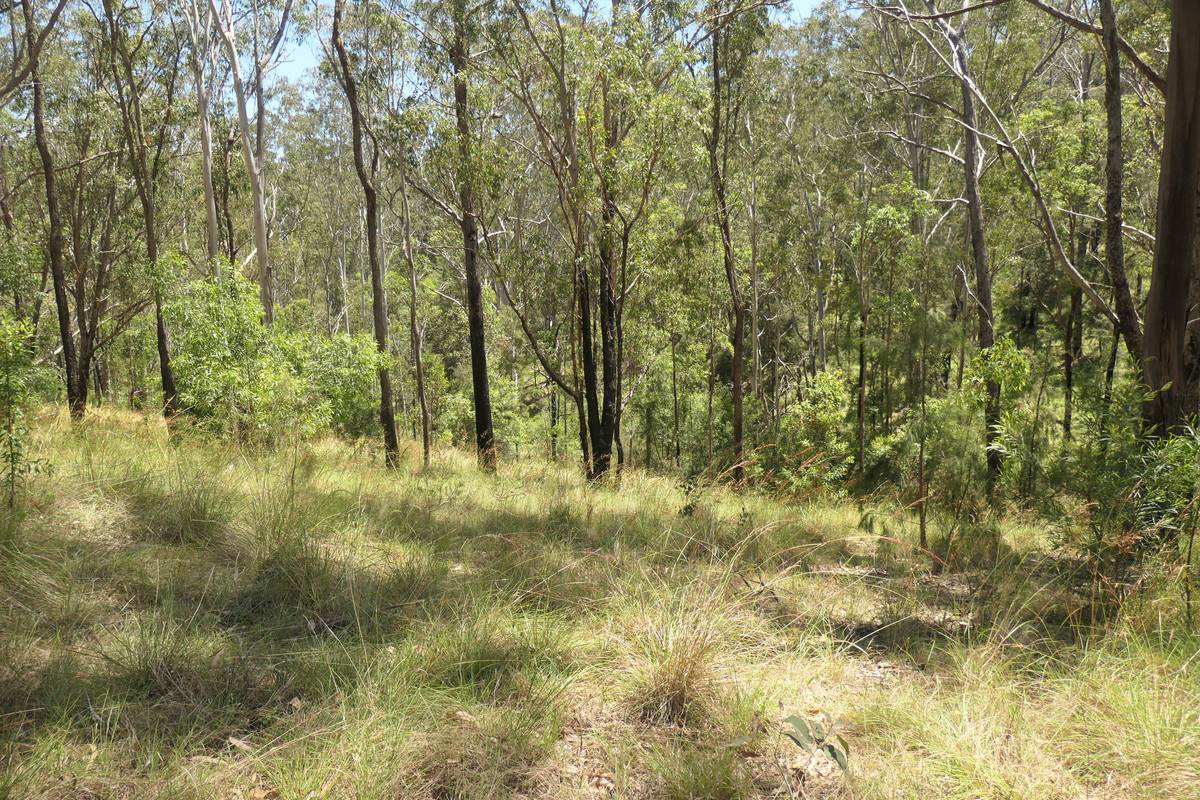 Lot 29,  Rocky River Road, Rocky River Sold by Farmbuy.com - image 23