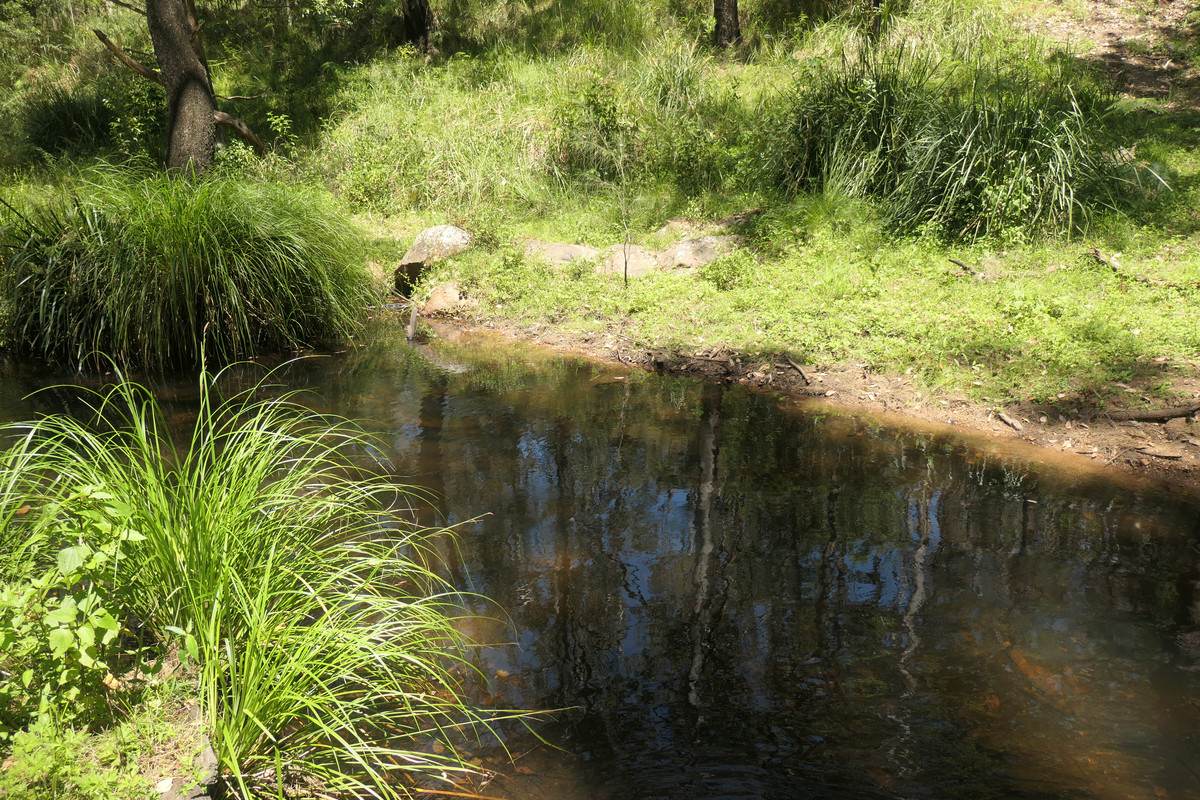 Lot 29,  Rocky River Road, Rocky River Sold by Farmbuy.com - image 21