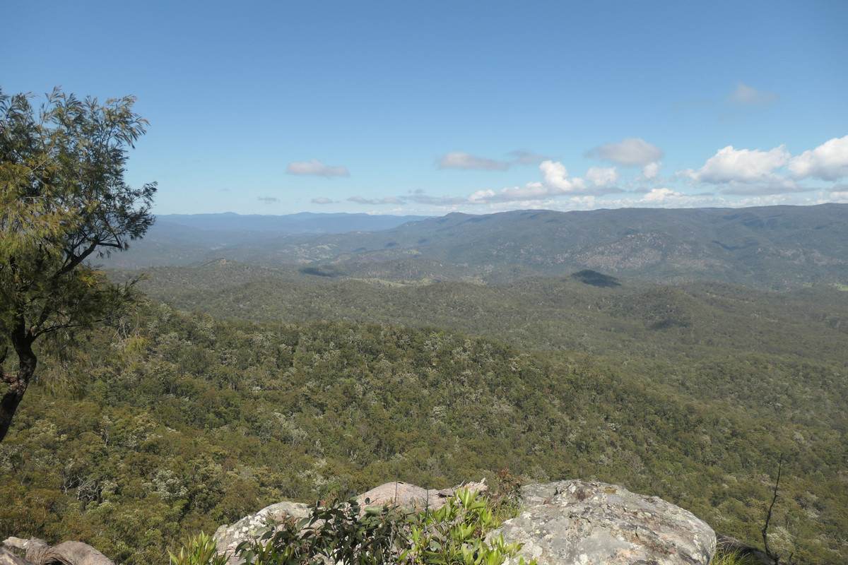 Lot 29,  Rocky River Road, Rocky River Sold by Farmbuy.com - image 12