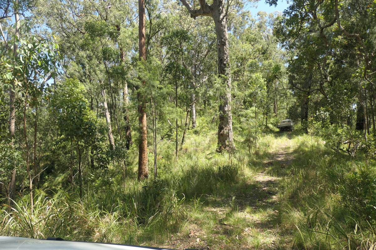 Lot 29,  Rocky River Road, Rocky River Sold by Farmbuy.com - image 30