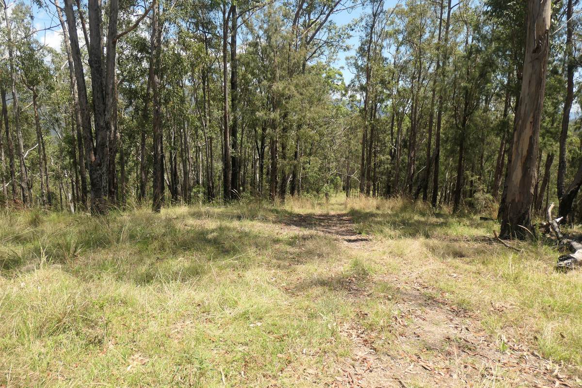 Lot 29,  Rocky River Road, Rocky River Sold by Farmbuy.com - image 35