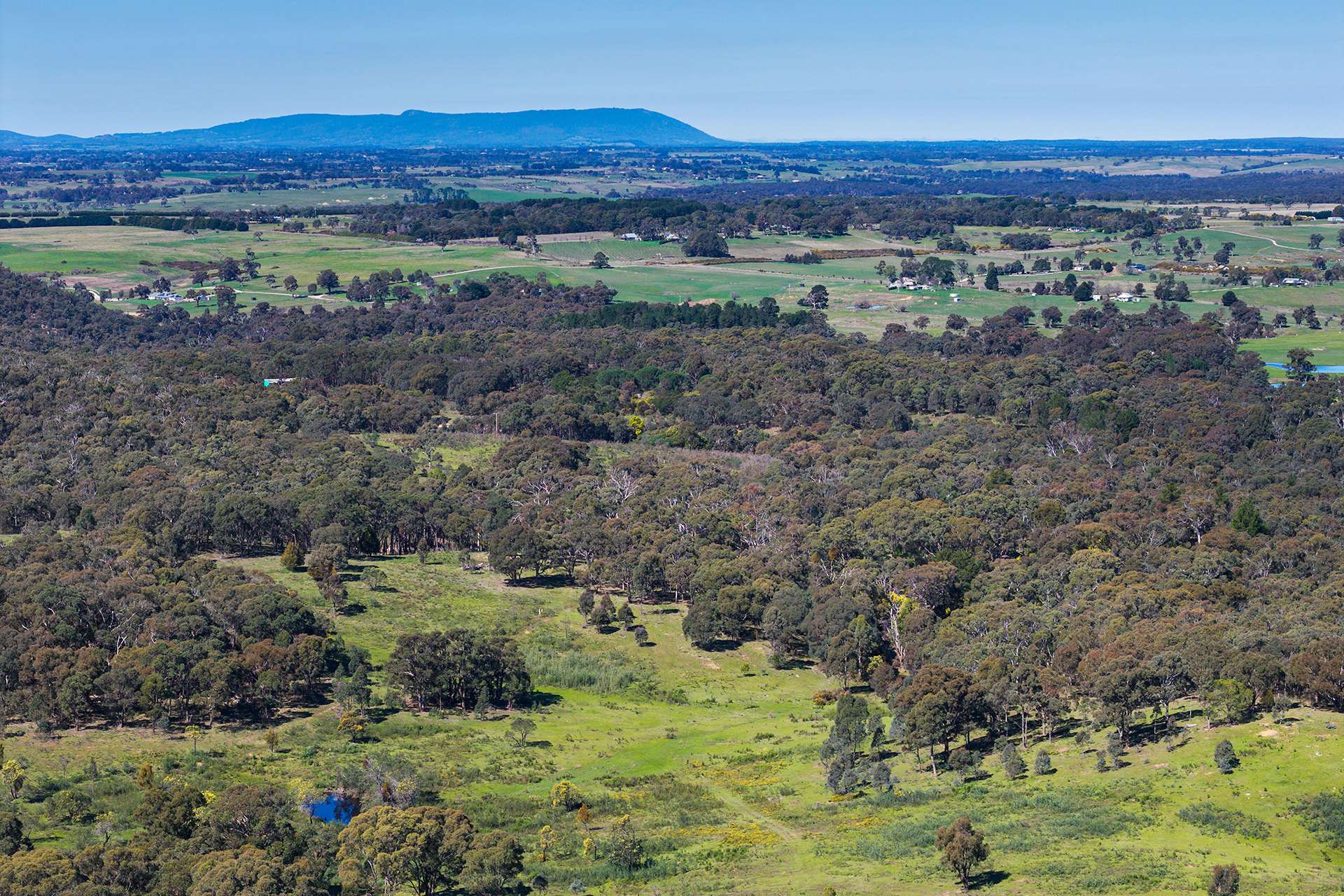 255 Taradale Road, Drummond North For Sale by Farmbuy.com - image 4