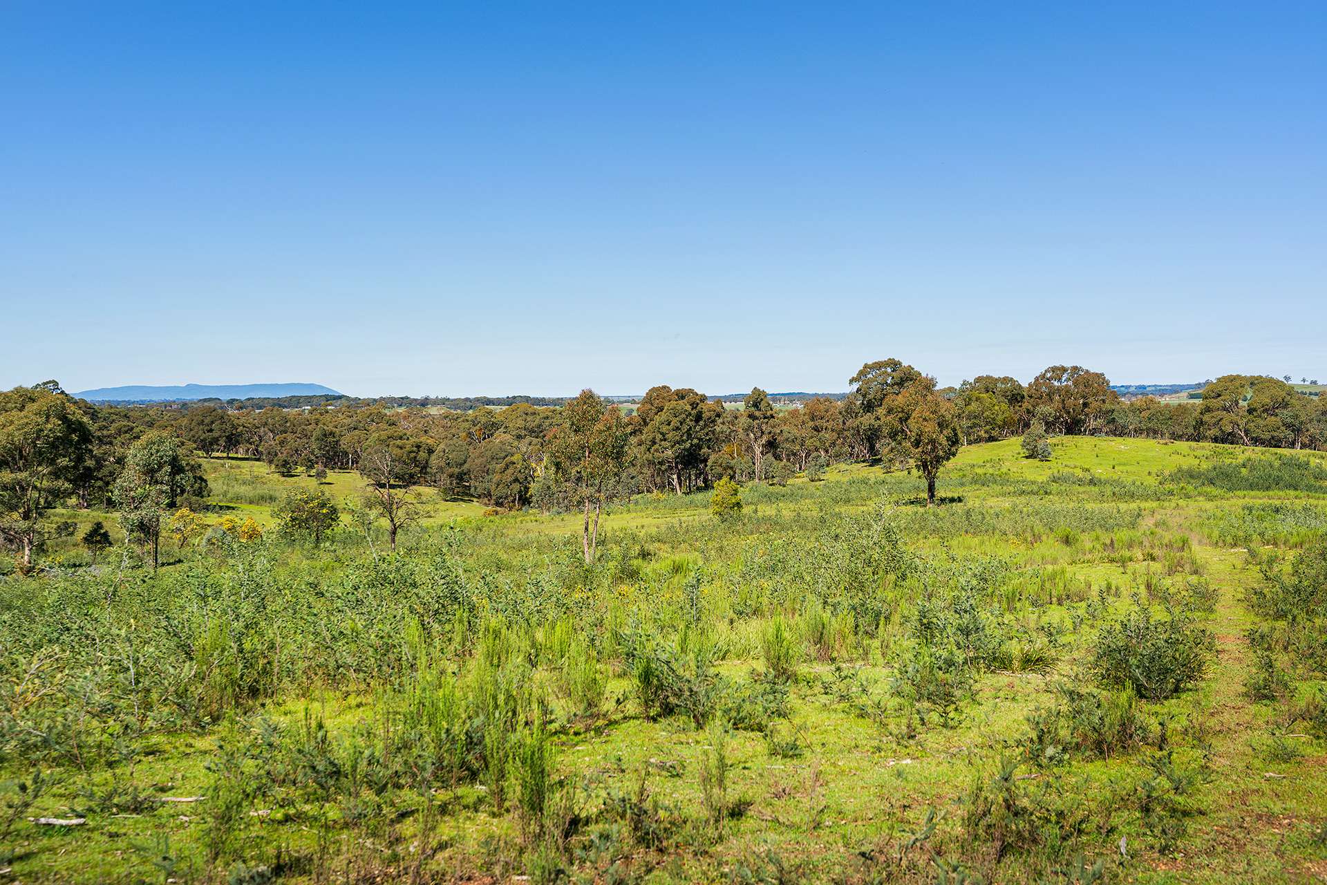 255 Taradale Road, Drummond North For Sale by Farmbuy.com - image 10