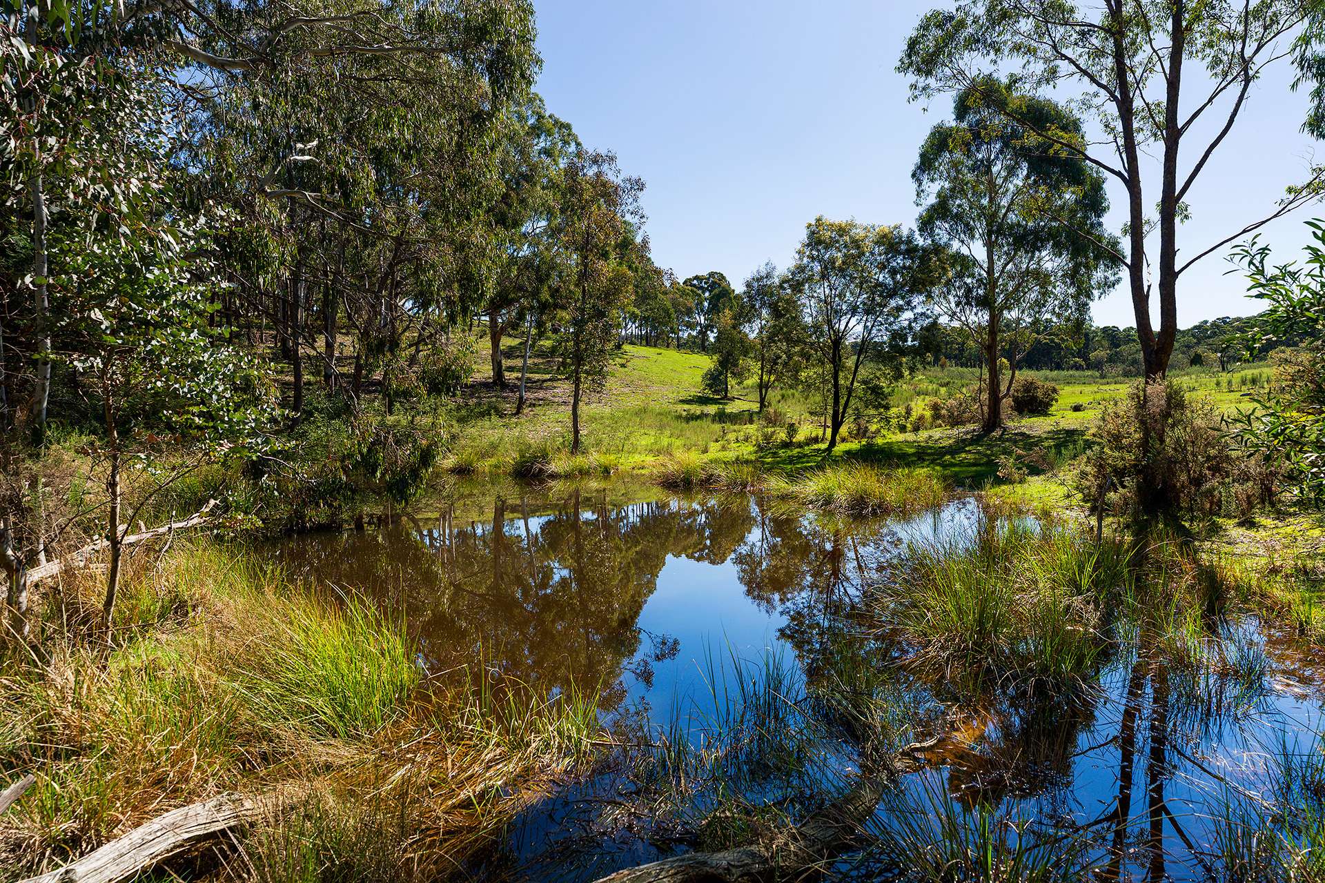 255 Taradale Road, Drummond North For Sale by Farmbuy.com - image 3