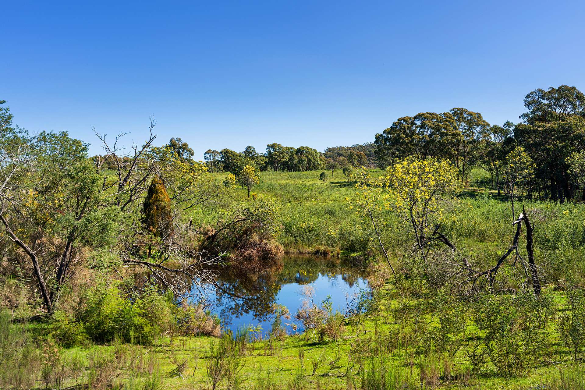 255 Taradale Road, Drummond North For Sale by Farmbuy.com - image 11