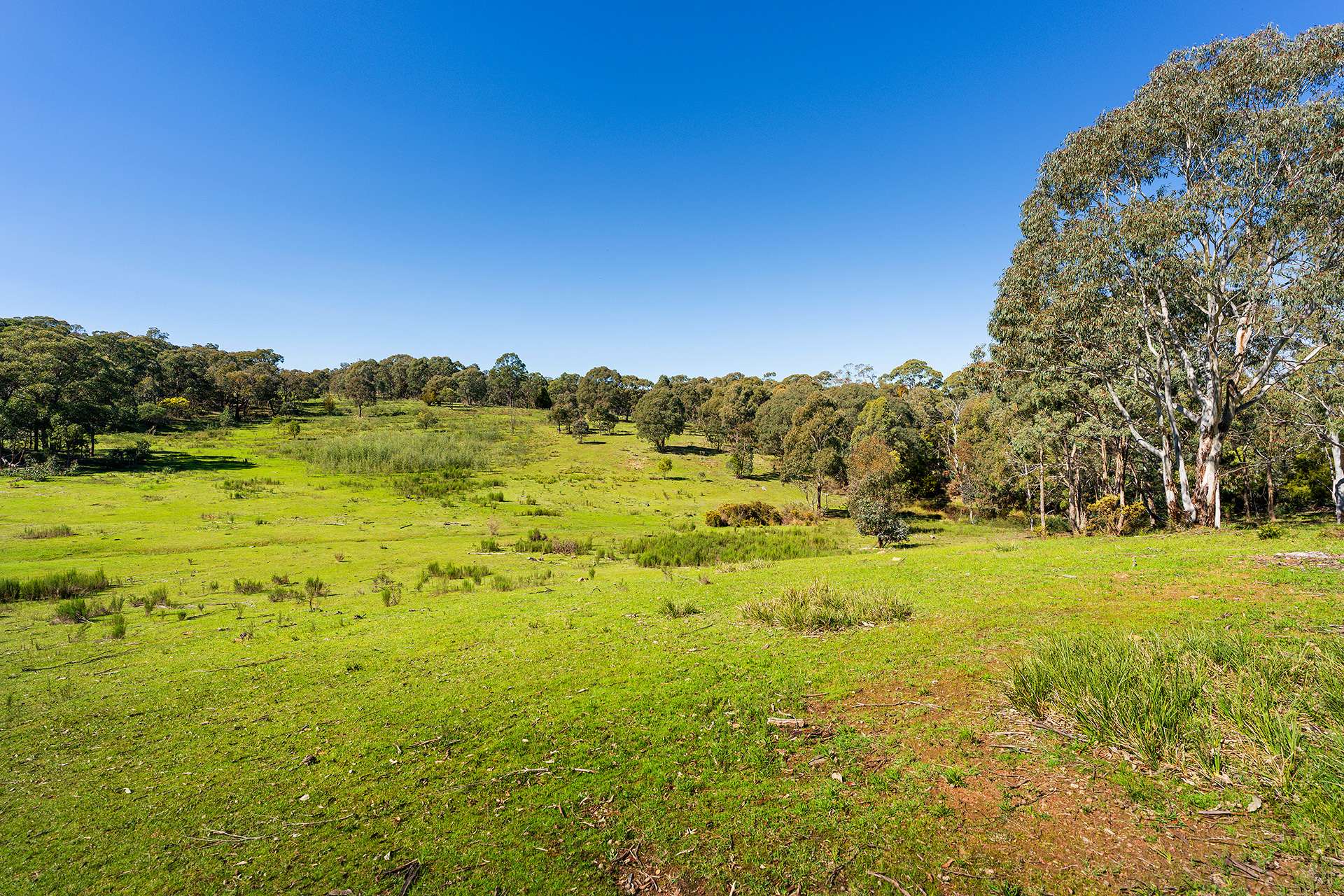 255 Taradale Road, Drummond North For Sale by Farmbuy.com - image 8