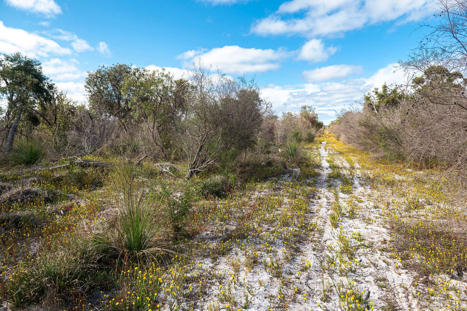 Lot 3691,  Duffy Road, Bambun For Sale by Farmbuy.com - image 6