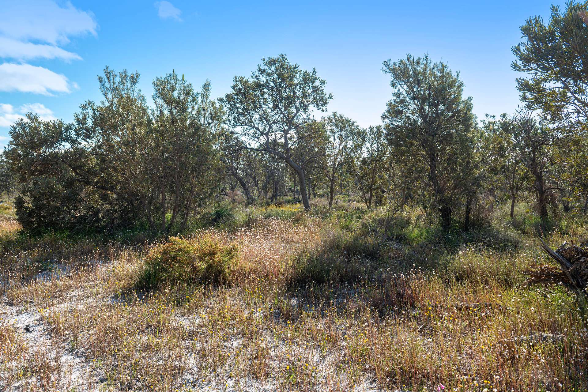 Lot 3691,  Duffy Road, Bambun For Sale by Farmbuy.com - image 12