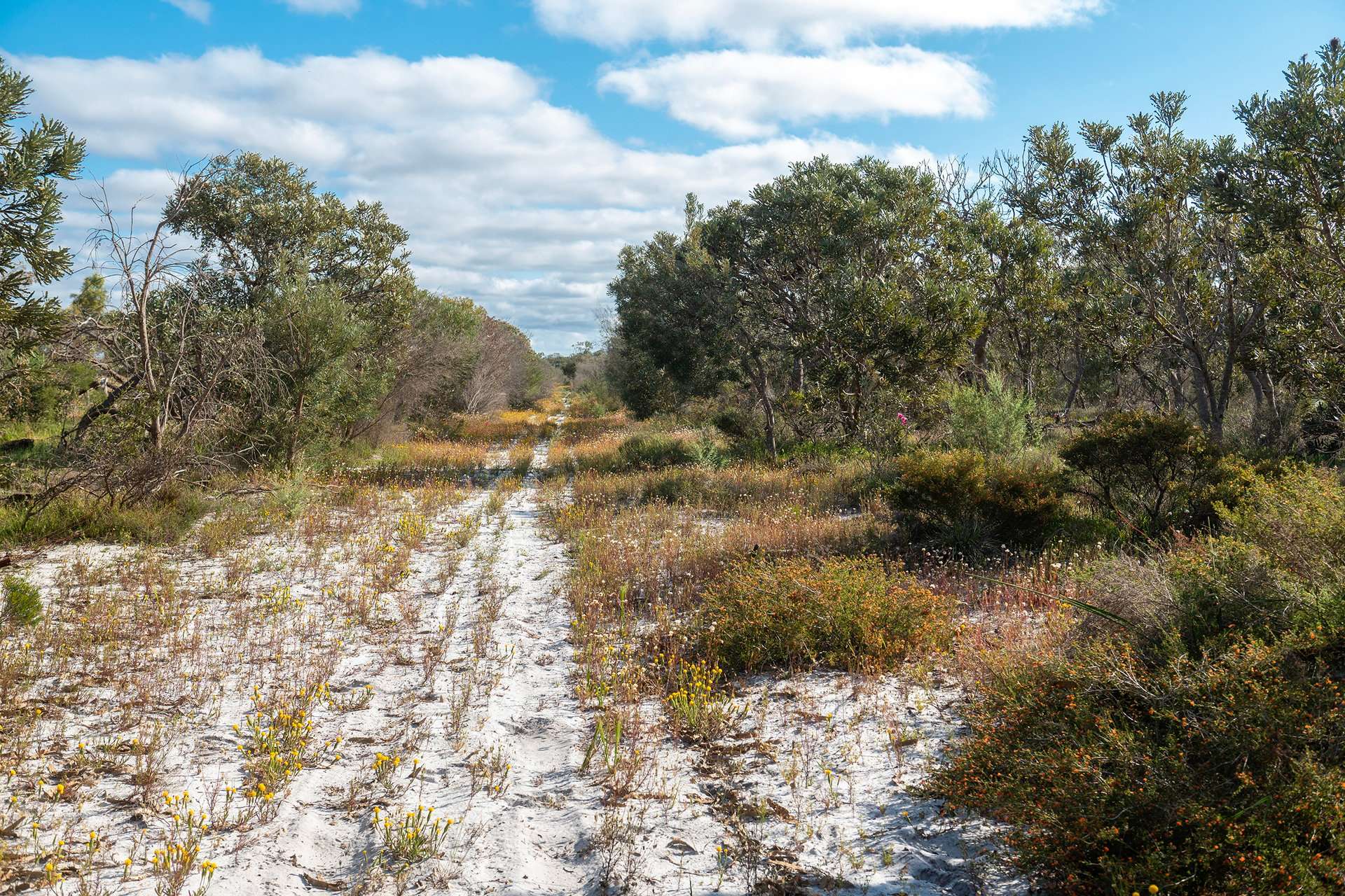 Lot 3691,  Duffy Road, Bambun For Sale by Farmbuy.com - image 11